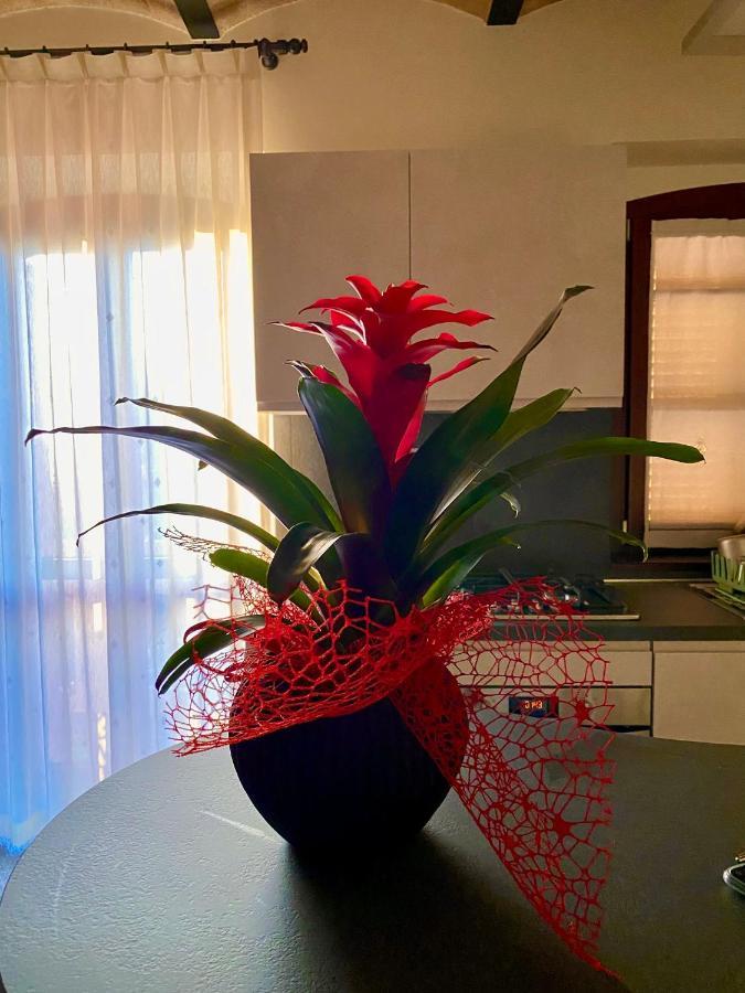 B&B Terrazza Sul Borgo Mogliano Exteriör bild